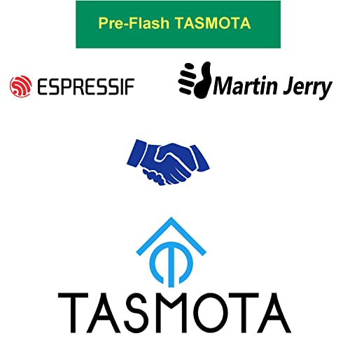 Tasmota Smart Switch מאת מרטין ג'רי | ESP8266 2.4GWIFI, מתג אור חכם לעוזר הבית | מכשירי בית חכם WiFi